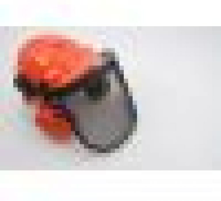 Forestry Helmet